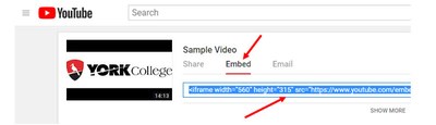 Image about clicking the Embed button (Embedding Unlisted Video on YouTube in your Bb Course)