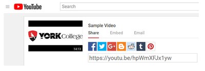 Image about clicking the share button on YouTube (Embedding Unlisted Video on YouTube in your Bb Course)