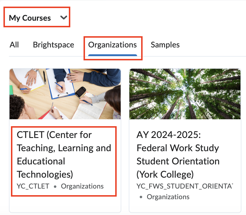 CTLET site in Brightspace
