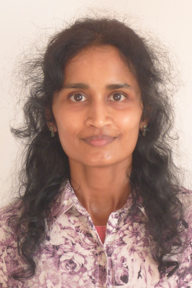 Narayanan chitra york college cuny