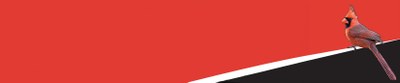 Section Student Handbook Header