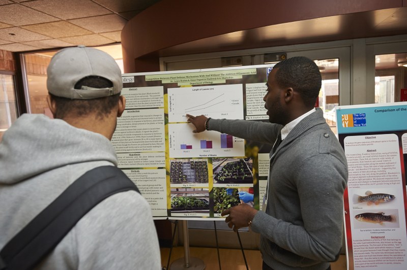 5thannualundergraduateday141.jpg York College / City University of New York York College