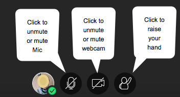 Webinar mic and webcam buttons