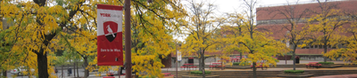 Campus Banners 