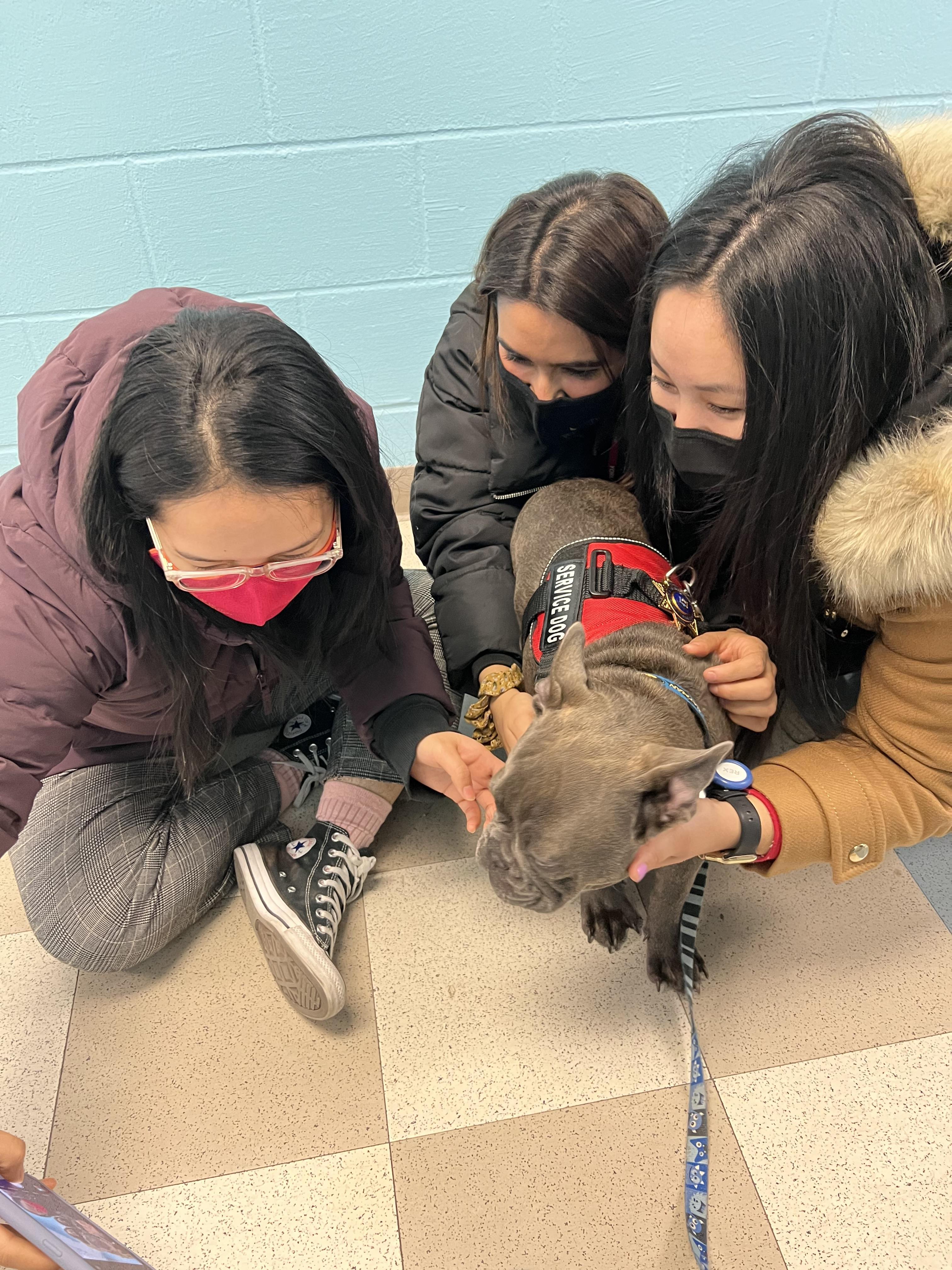 Prof Valerie Esposito Kubanick, Students  and Rex, a six-month-old French bulldog certified service dog 