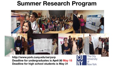 Summer Research Program 2016
