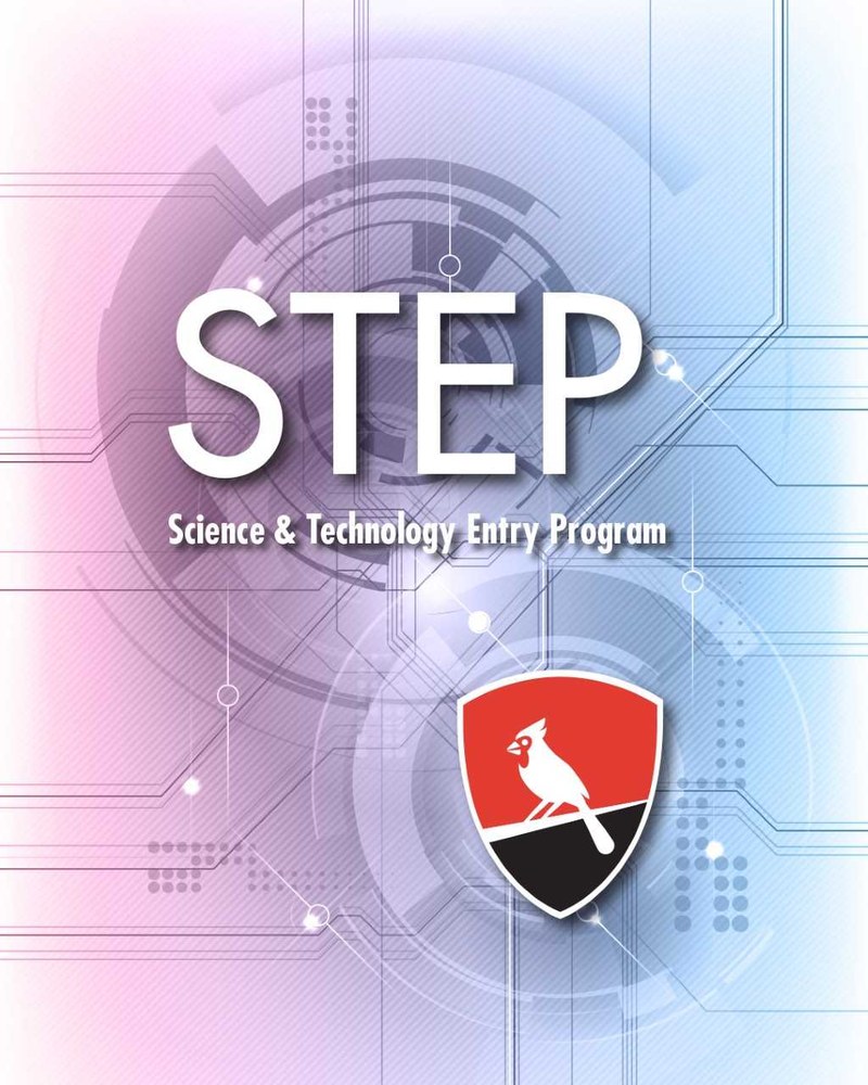 Science & Technology Entry Program