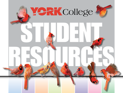 York College Student Resources