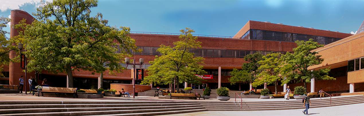 York College Campus Photo