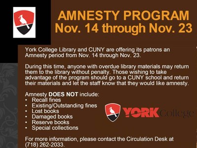 Amnesty