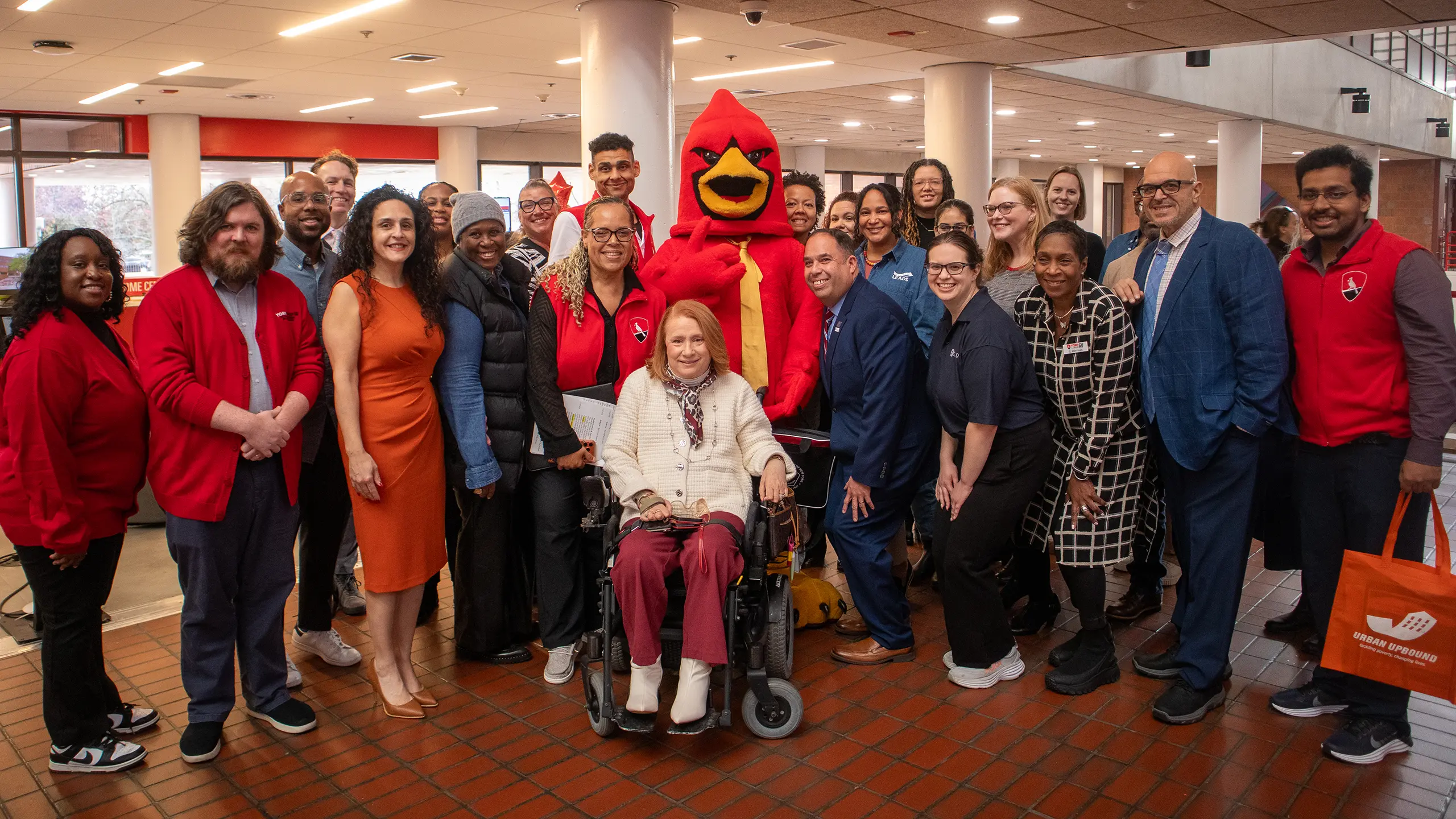 Staff, students, recent graduates, alumni, employers, and resource organizations