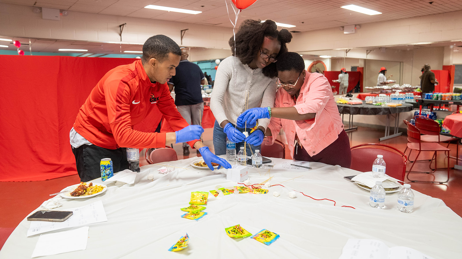 SEEK Students working in an experiment