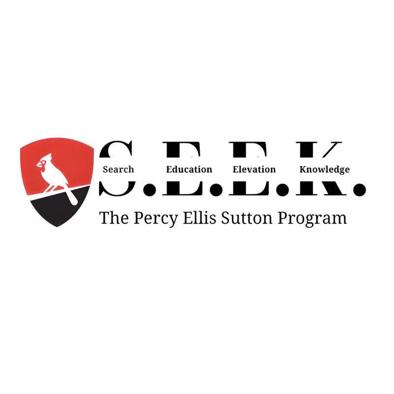 SEEK Filler Logo